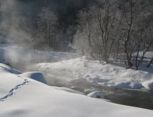 photo of snow body of water and trees thumbnail