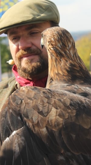 man holding brown and black short beak bird thumbnail