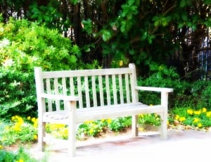 photo of brown wooden bench during daytime thumbnail