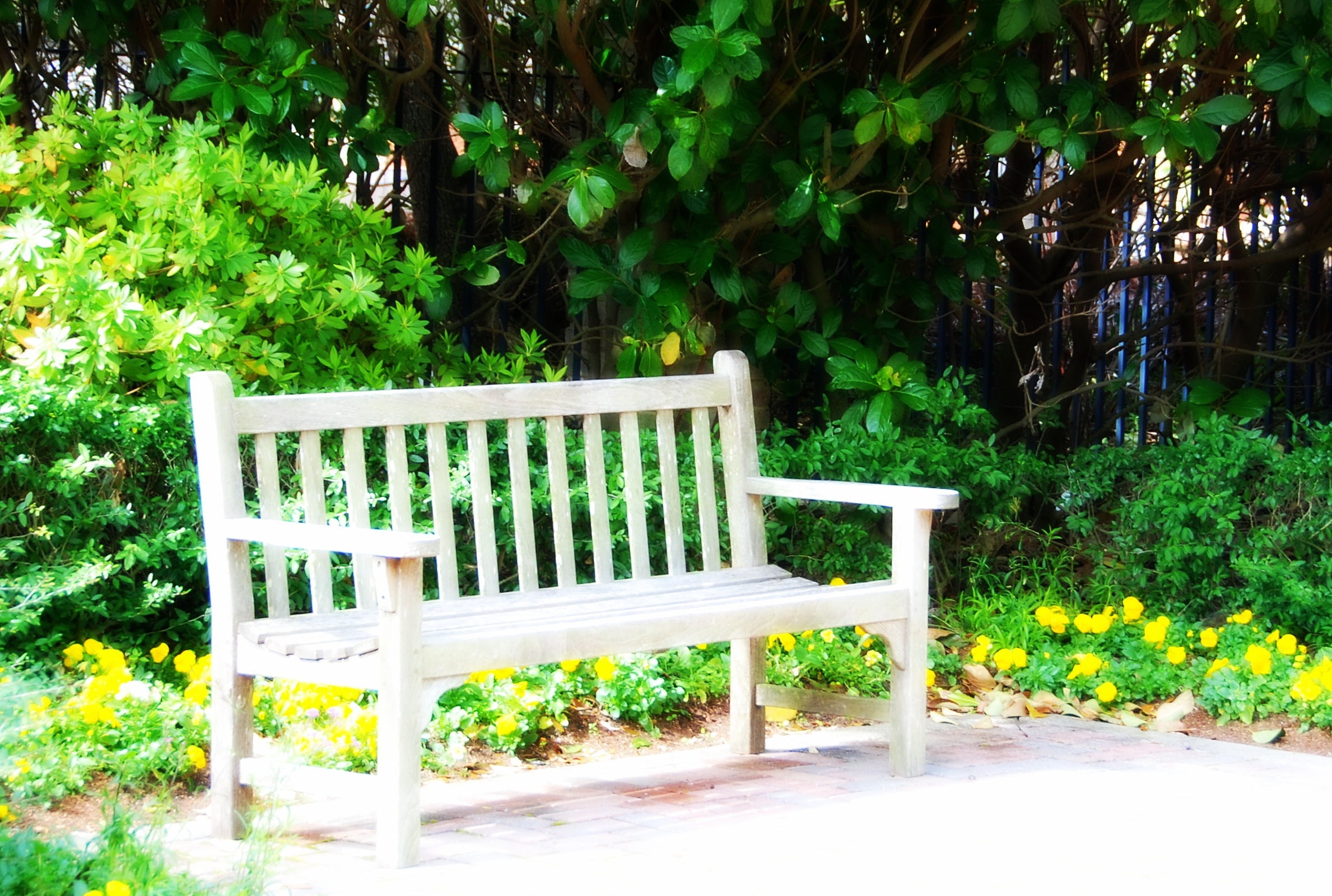 photo of brown wooden bench during daytime