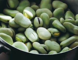 green beans lot thumbnail