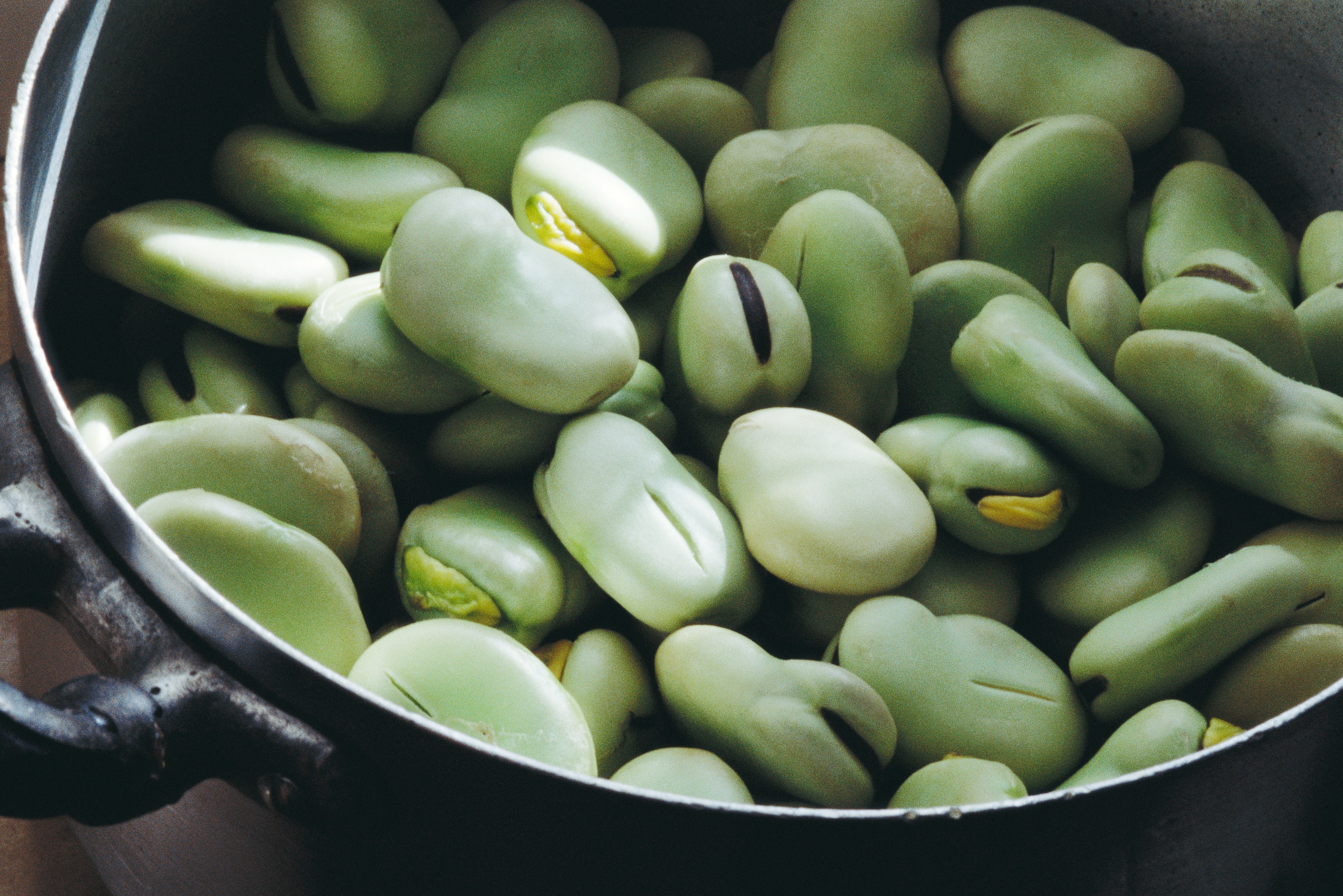 green beans lot