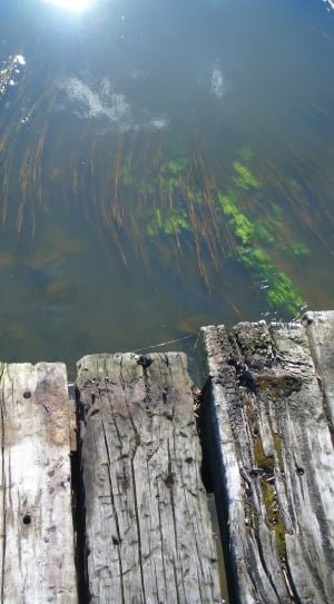 brown wooden dock near to body of water thumbnail