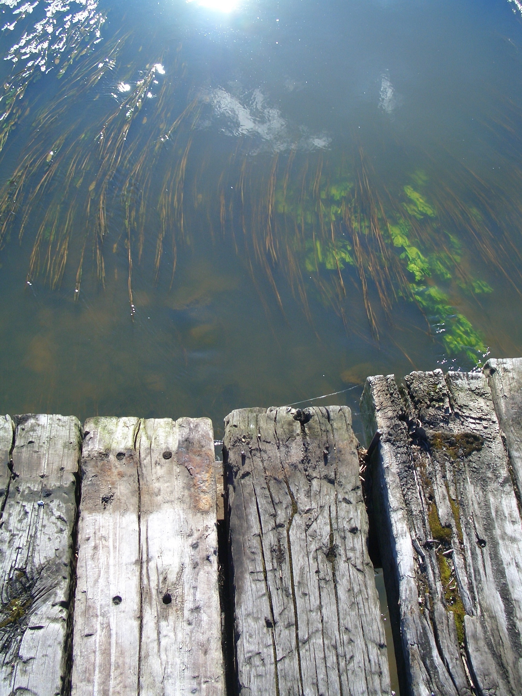 brown wooden dock near to body of water