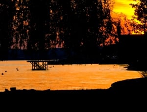 silhouette of two man beside tree during sunset thumbnail