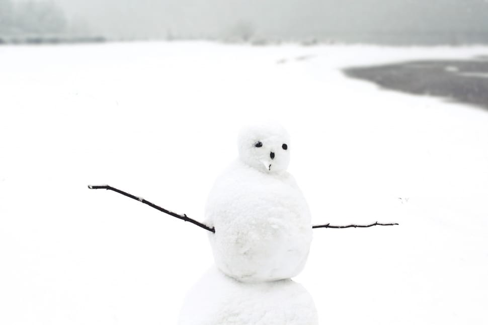 snowman preview