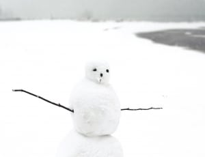 snowman thumbnail