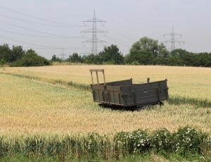 gray metal trailer in the middle of rice field thumbnail