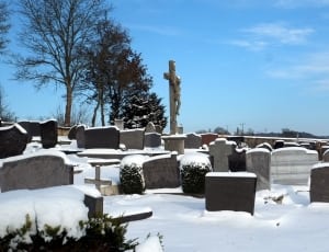 white cemetery thumbnail