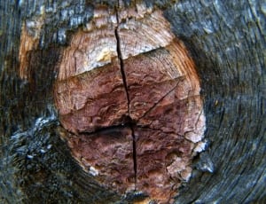 black and brown wood surface thumbnail