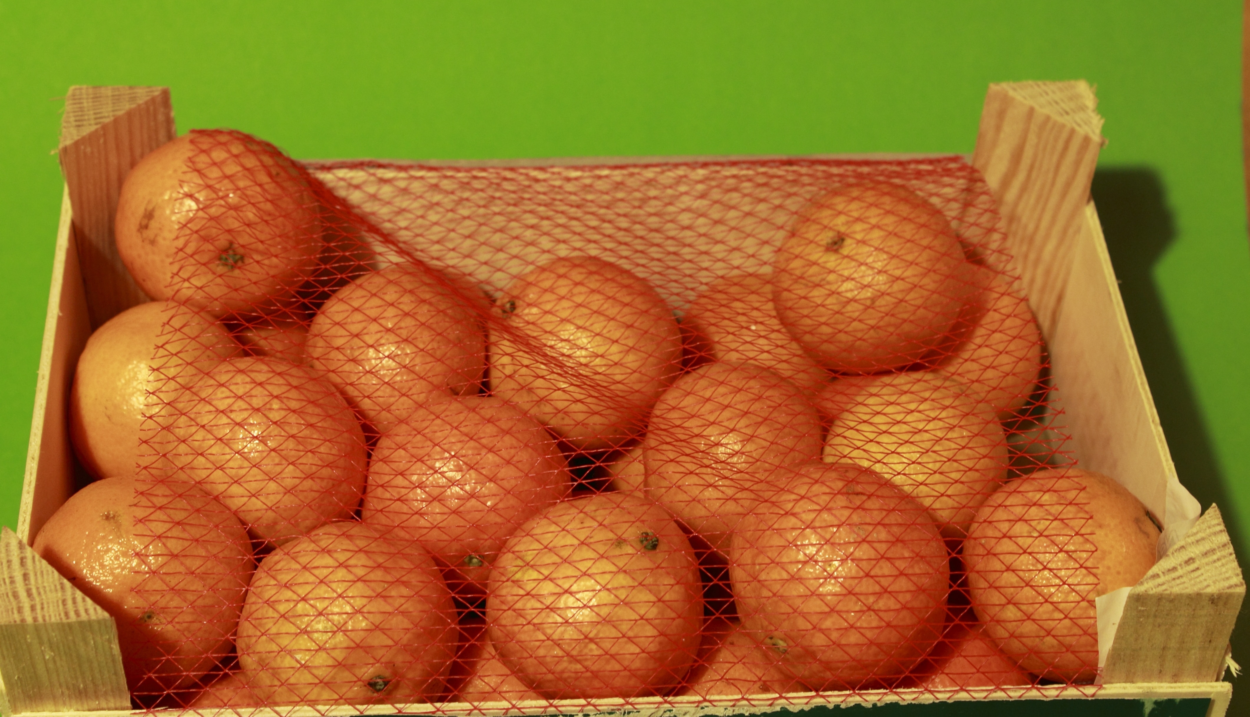 orange fruits in box