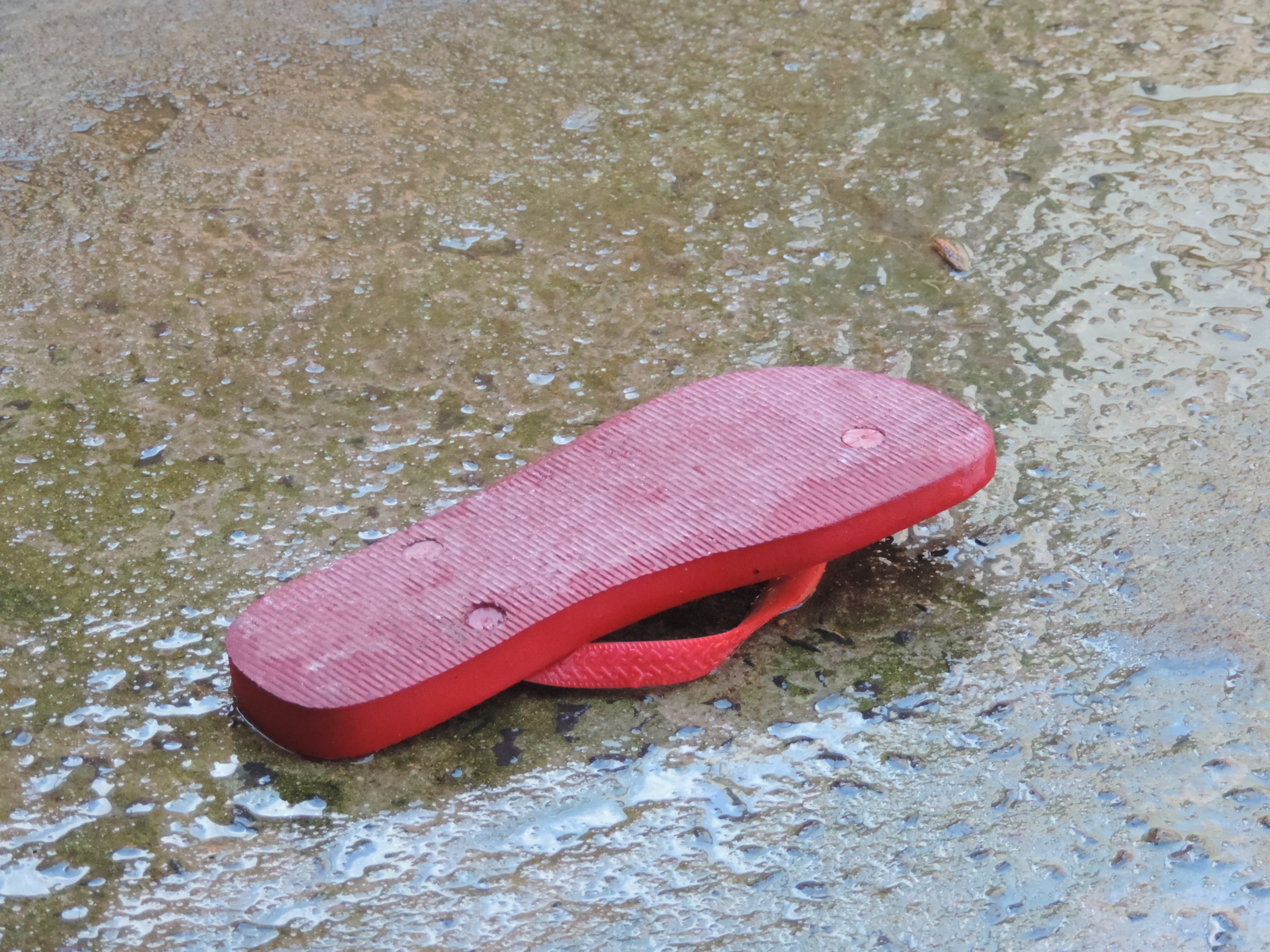 red unpaired flip flops