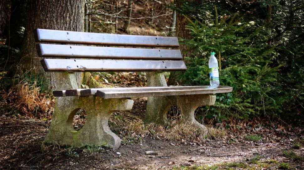 concrete bench and plastic drinking bottle preview