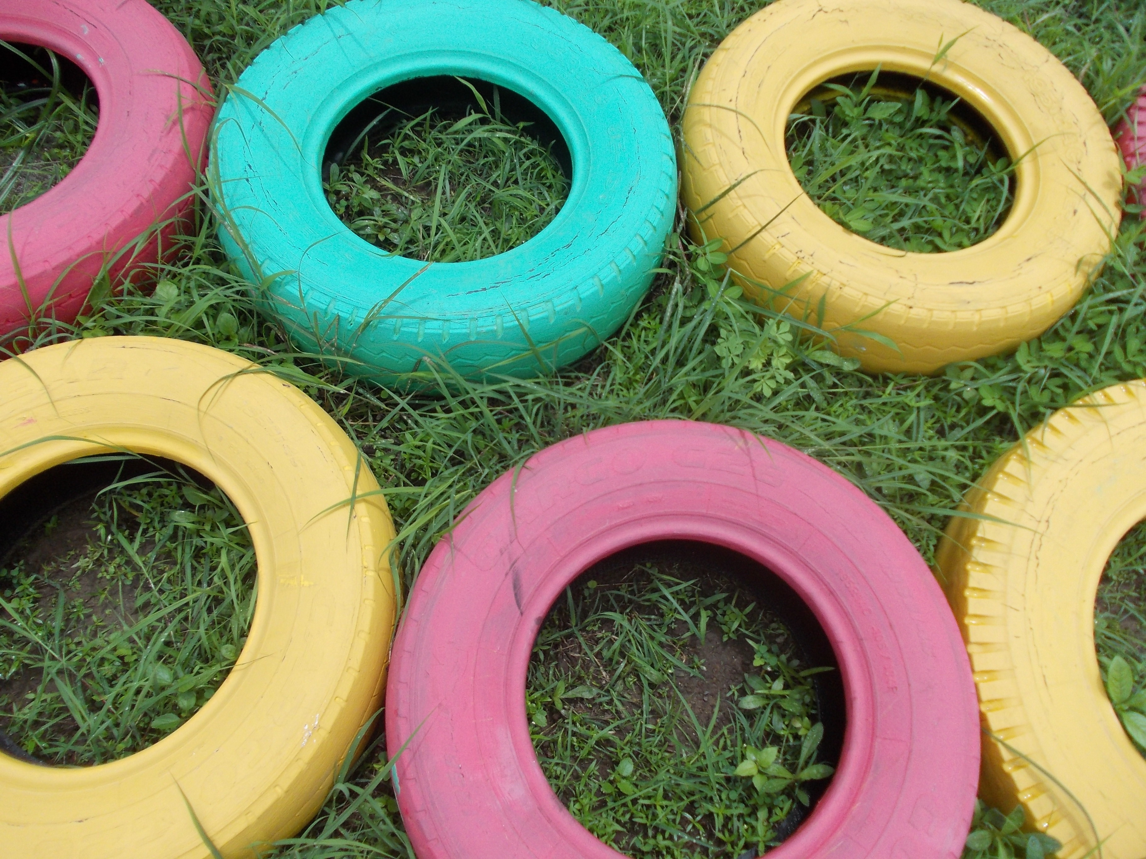 green pink and yellow auto tires