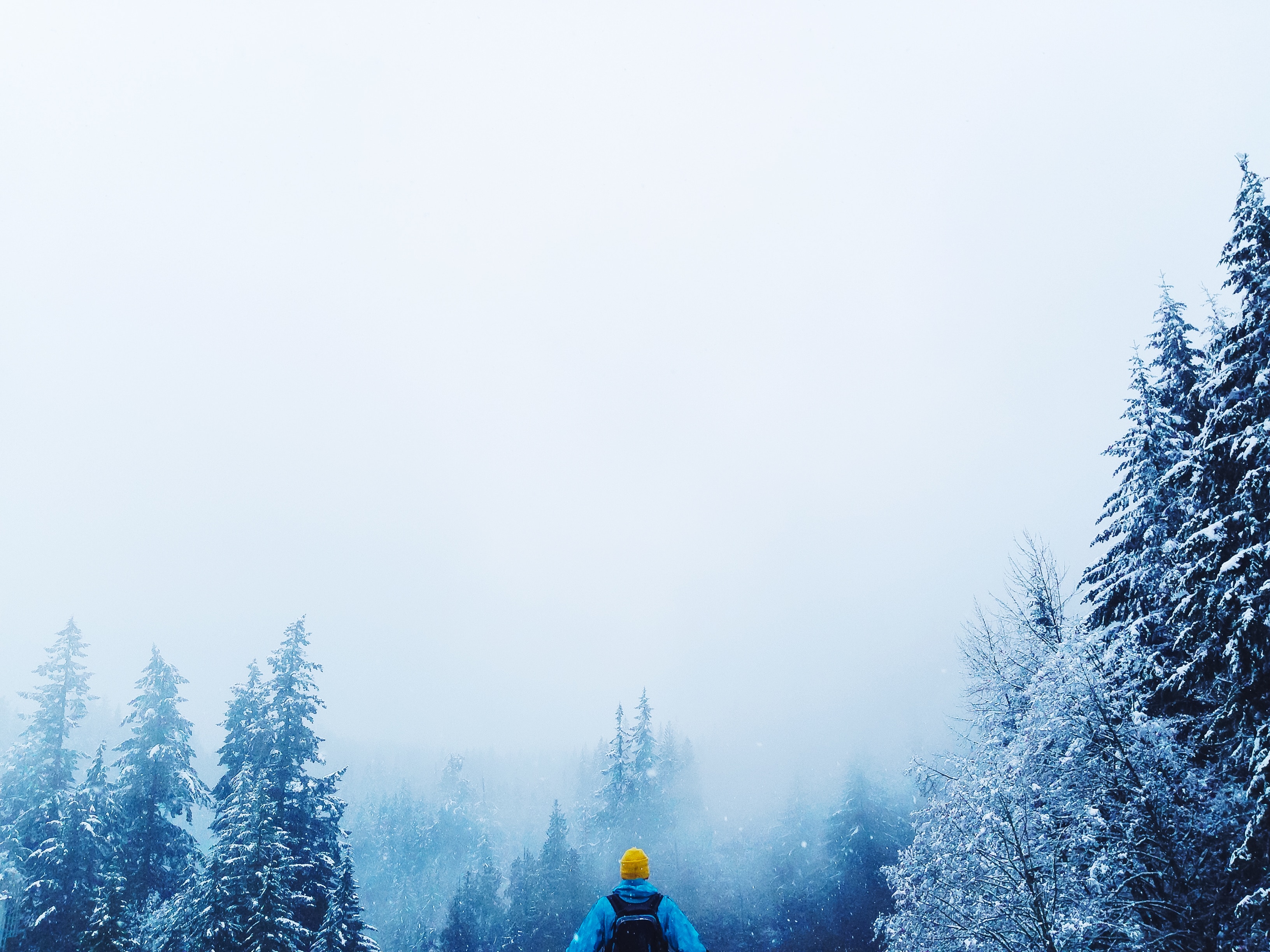 person in blue jacket and yellow cap infront of foggy trees