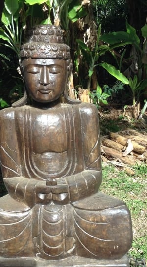 brown wooden buddha figurine thumbnail