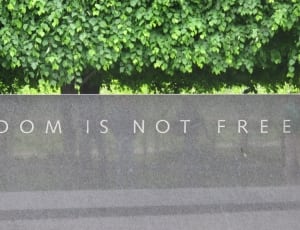 freedom is not free thumbnail