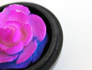 pink flower decor thumbnail