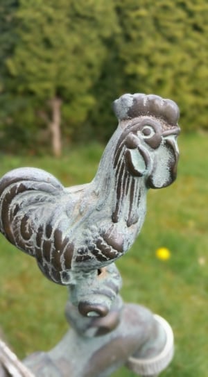 stainless steel rooster ceramic display thumbnail