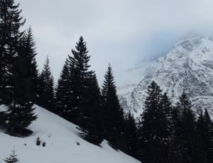 mountain covered by snow thumbnail