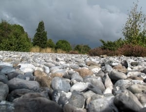 gray and white stones on the green trees under the blue sky during daytime thumbnail