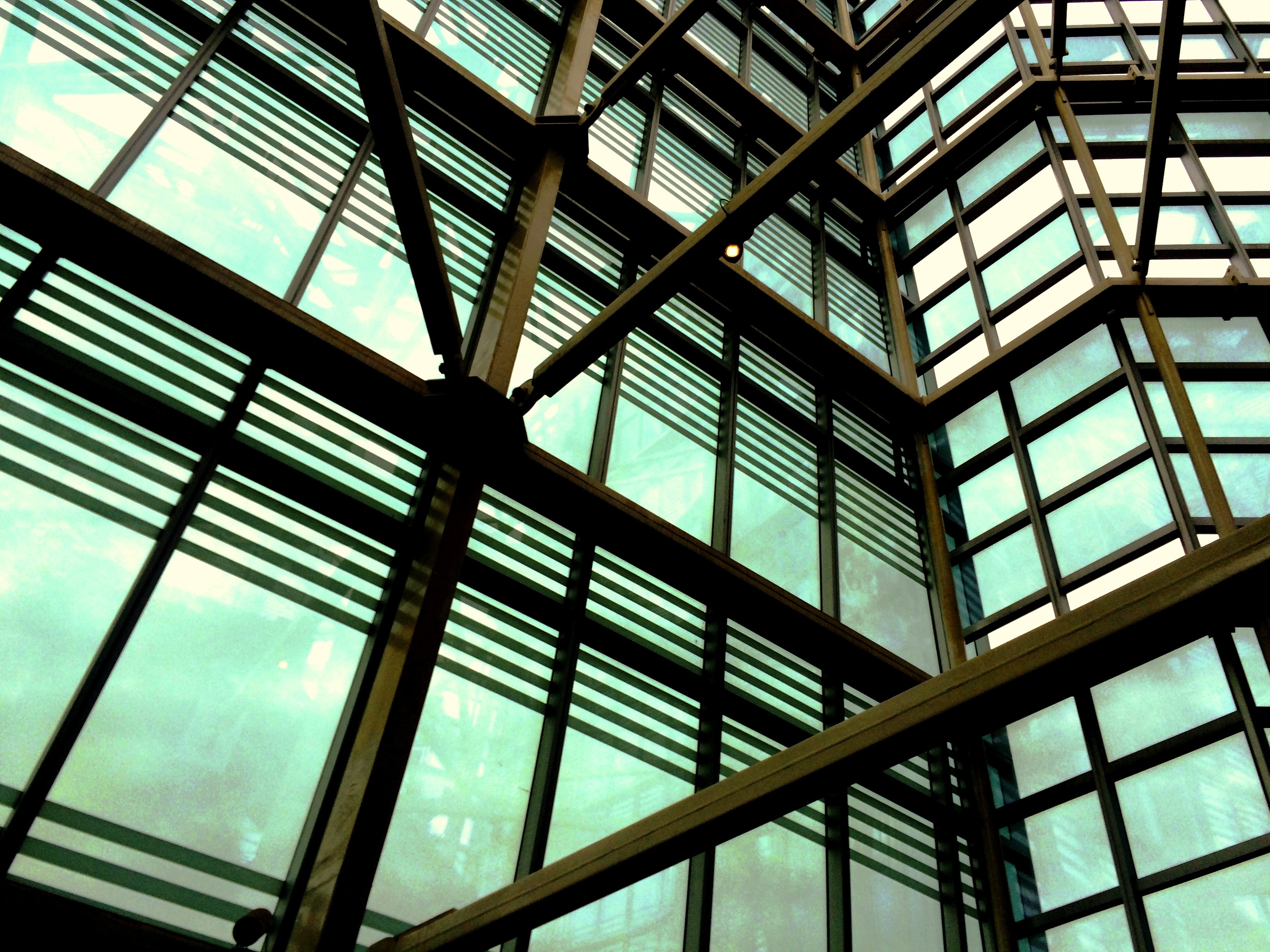 brown metal farmed clear glass building