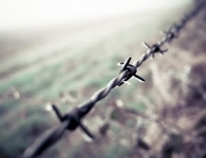 gray barb wire thumbnail