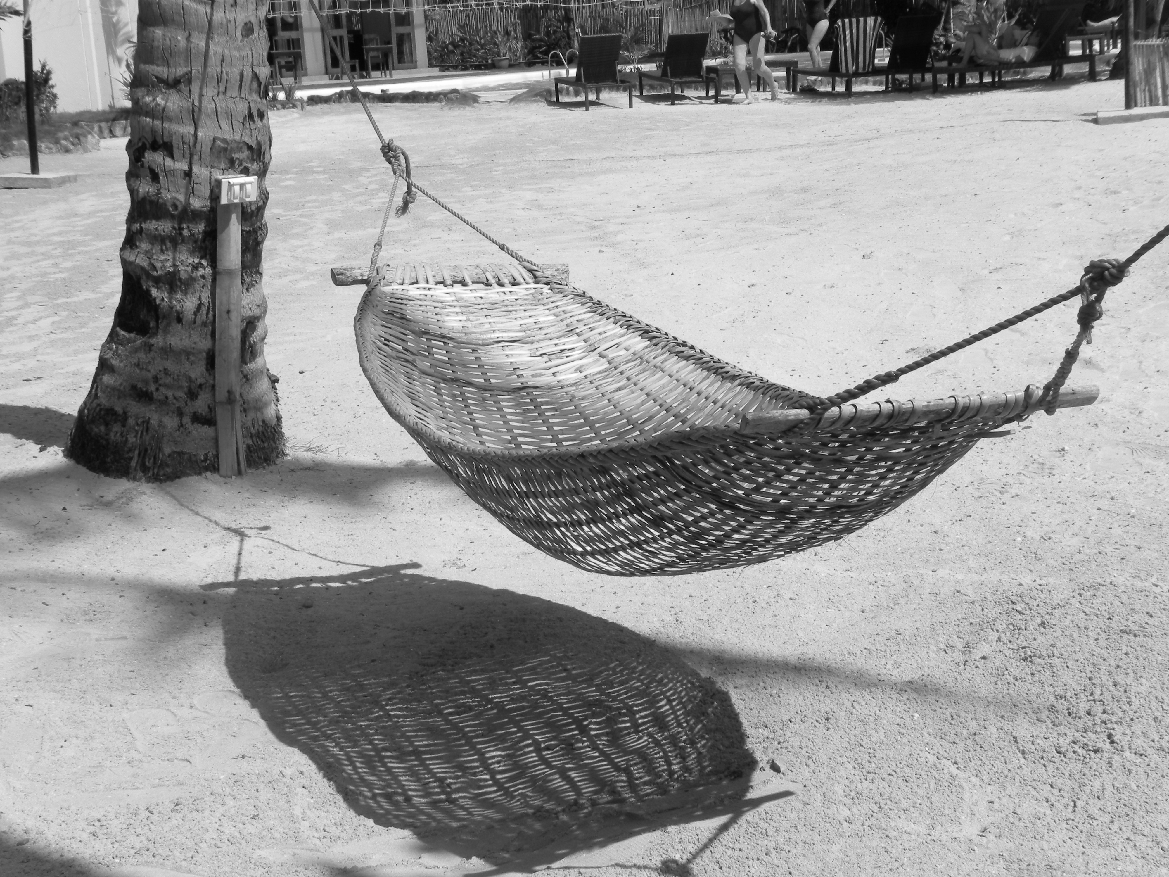 grayscale hammock