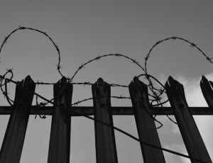 black wooden fence and barb wire thumbnail