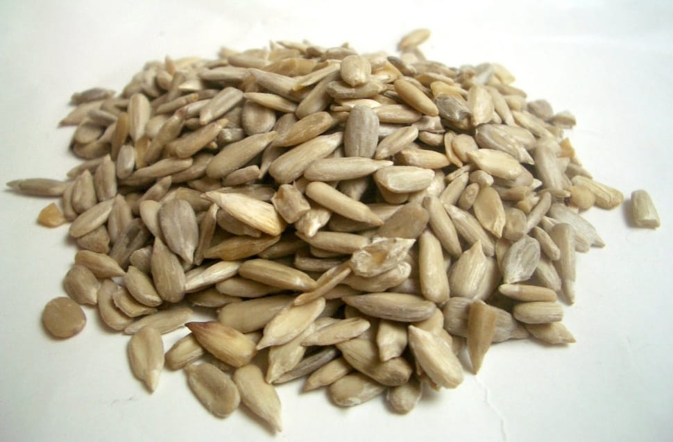 sunflower seed preview