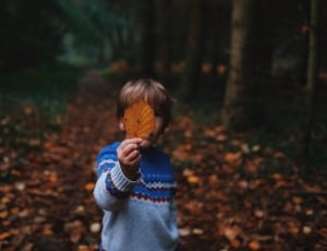 boy holding a brown leaf wearing blue knit sweater in forest thumbnail