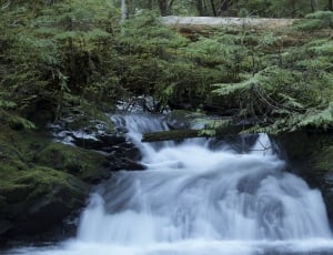 image of water and trees thumbnail