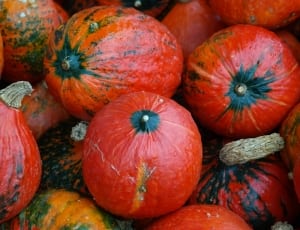 red round vegetable lot thumbnail