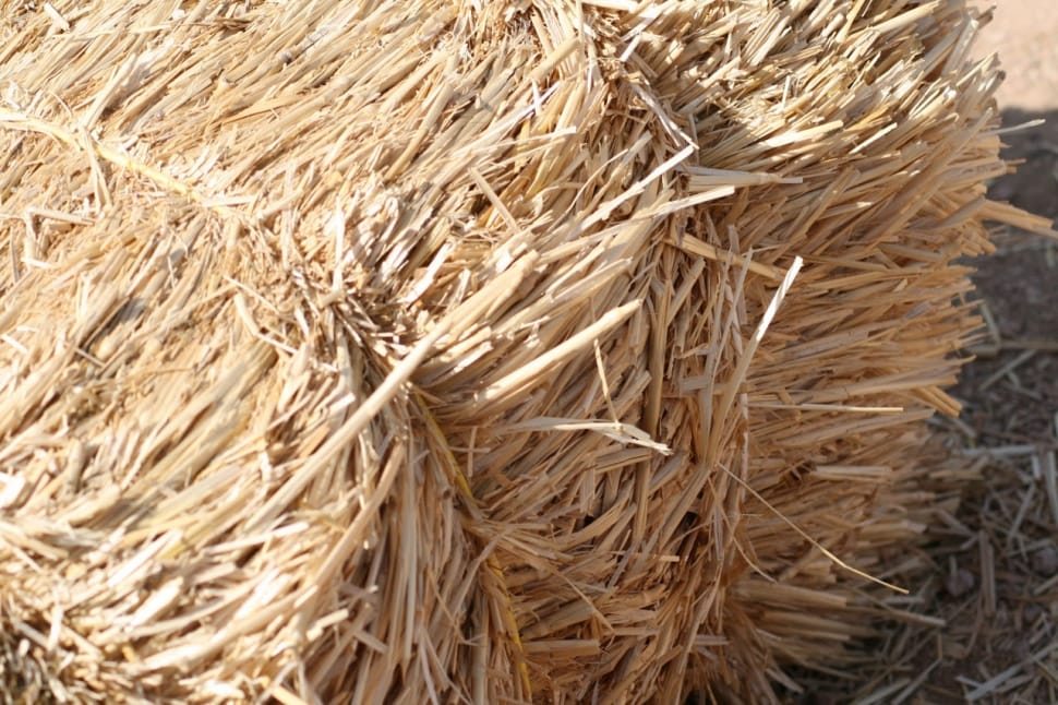 brown haystack preview