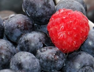 raspberry and blueberries lot thumbnail