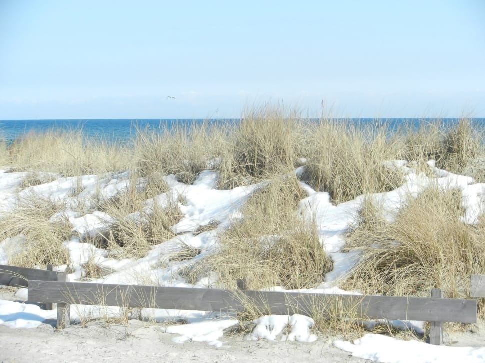 brown grass field with snow preview