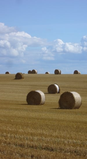 hay rolls on field under cloudy sky thumbnail