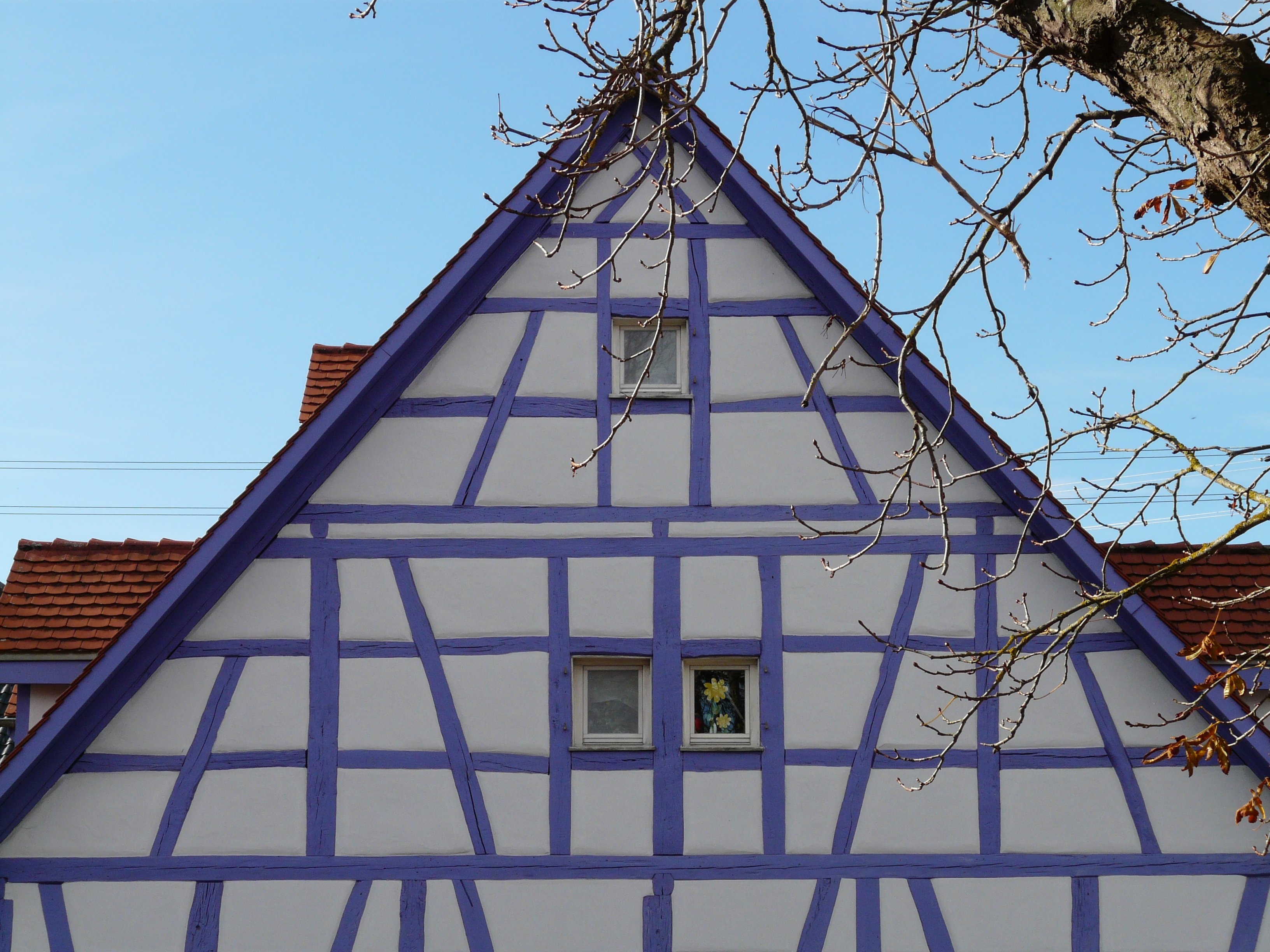 white and purple wooden house