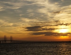 photography of cable bridge on sunset thumbnail