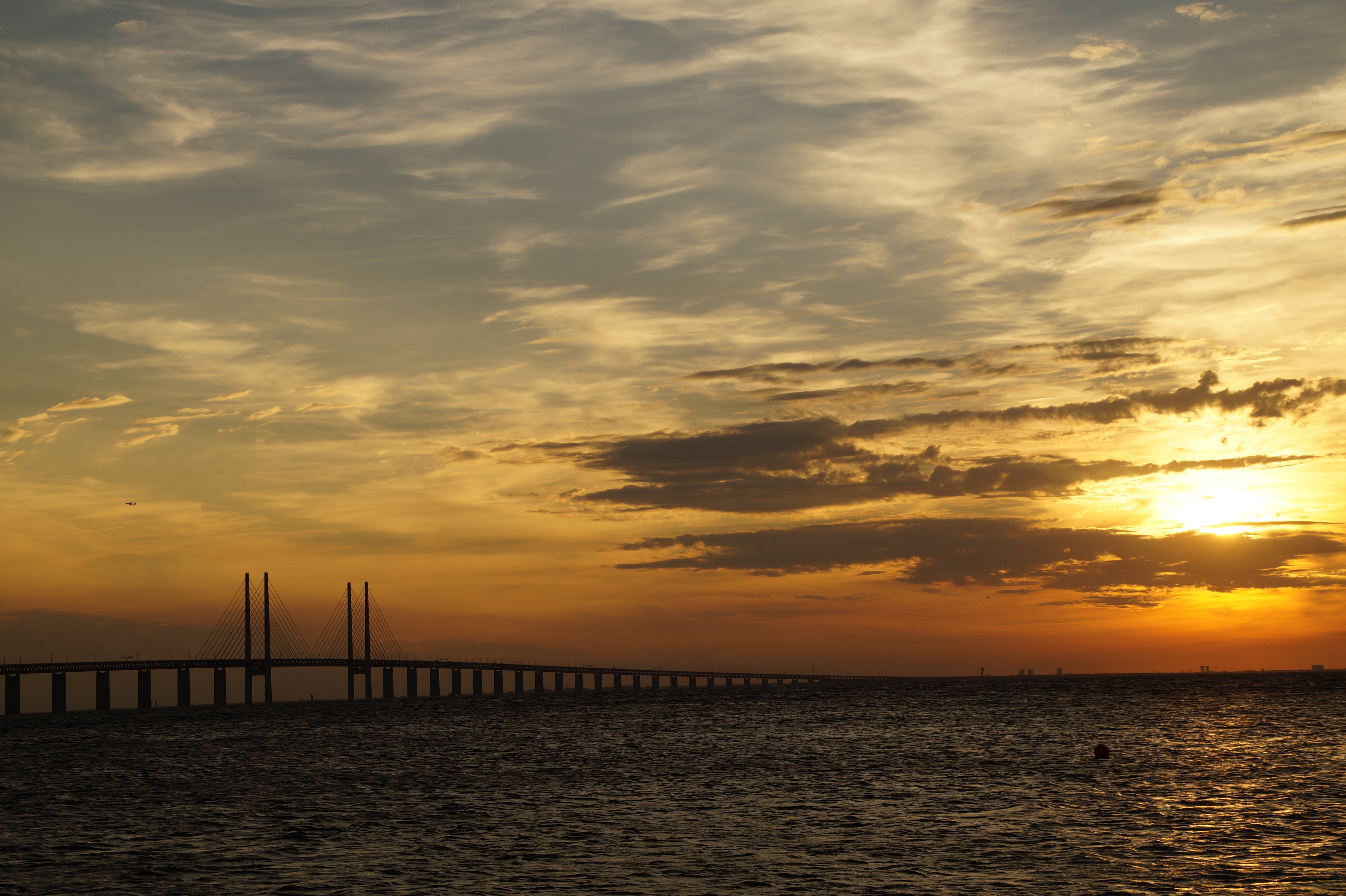 photography of cable bridge on sunset