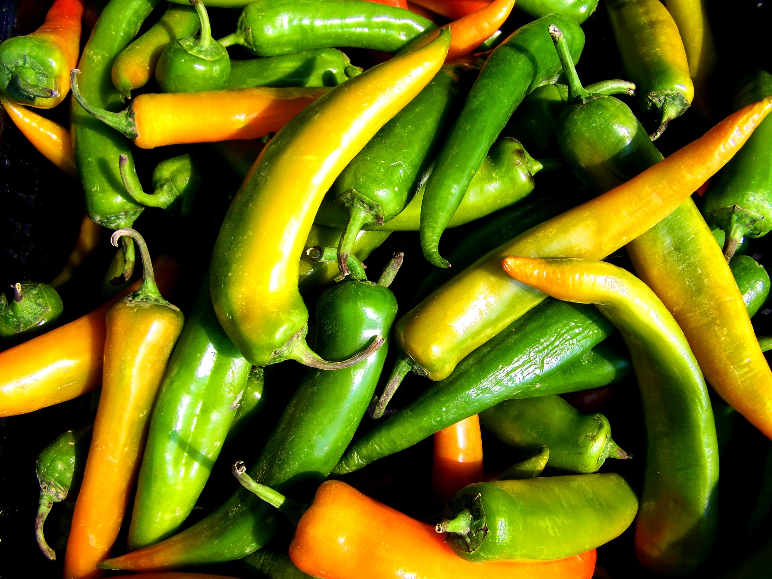 2560x1440 wallpaper green and yellow chili pepper Peakpx