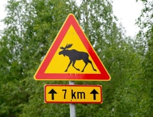 7 km ahead animal crossing road signage thumbnail