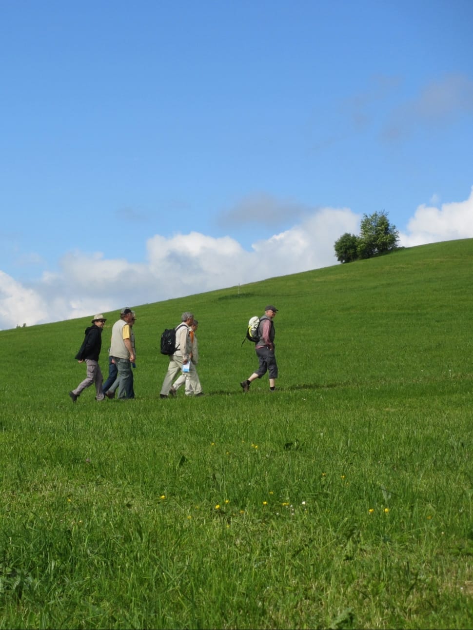 six people walking on green grass field at day time preview