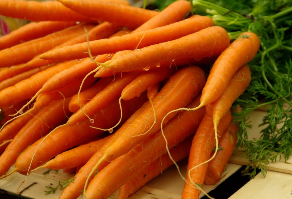 orange carrots preview