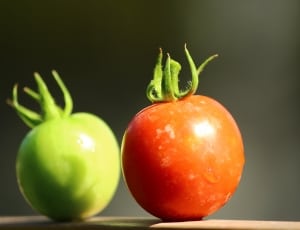 green and orange tomato thumbnail