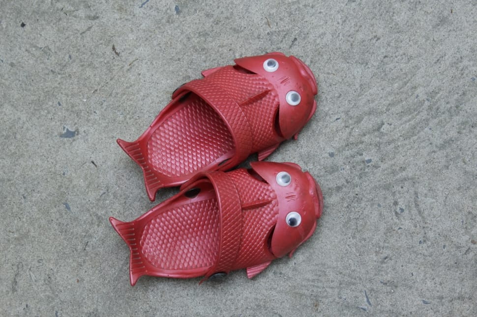 red fish design slippers free image Peakpx