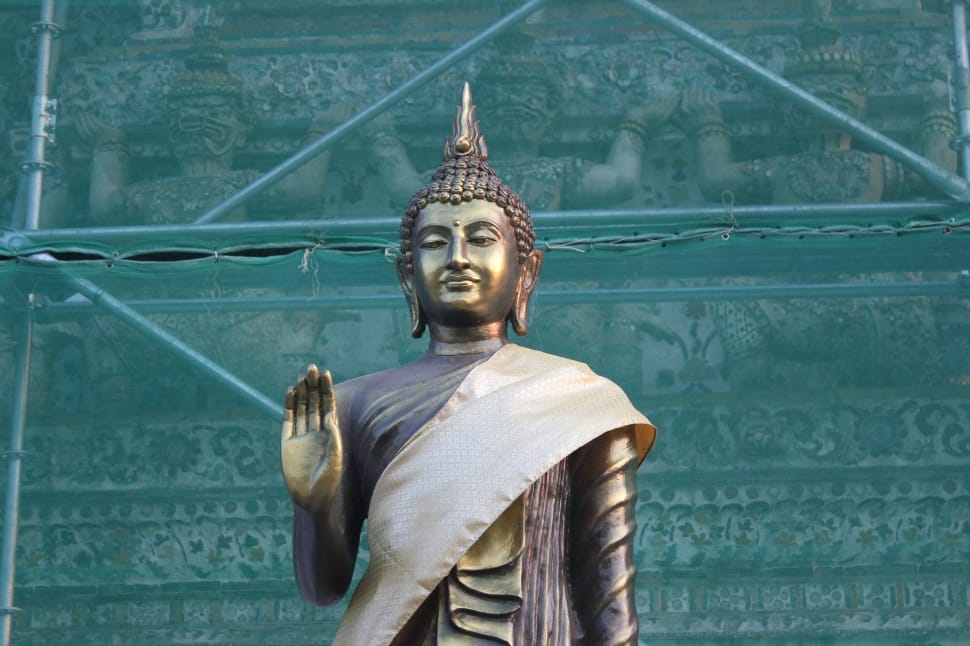 buddha standing statue preview
