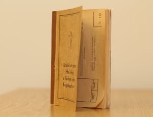 brown and black labeled book thumbnail
