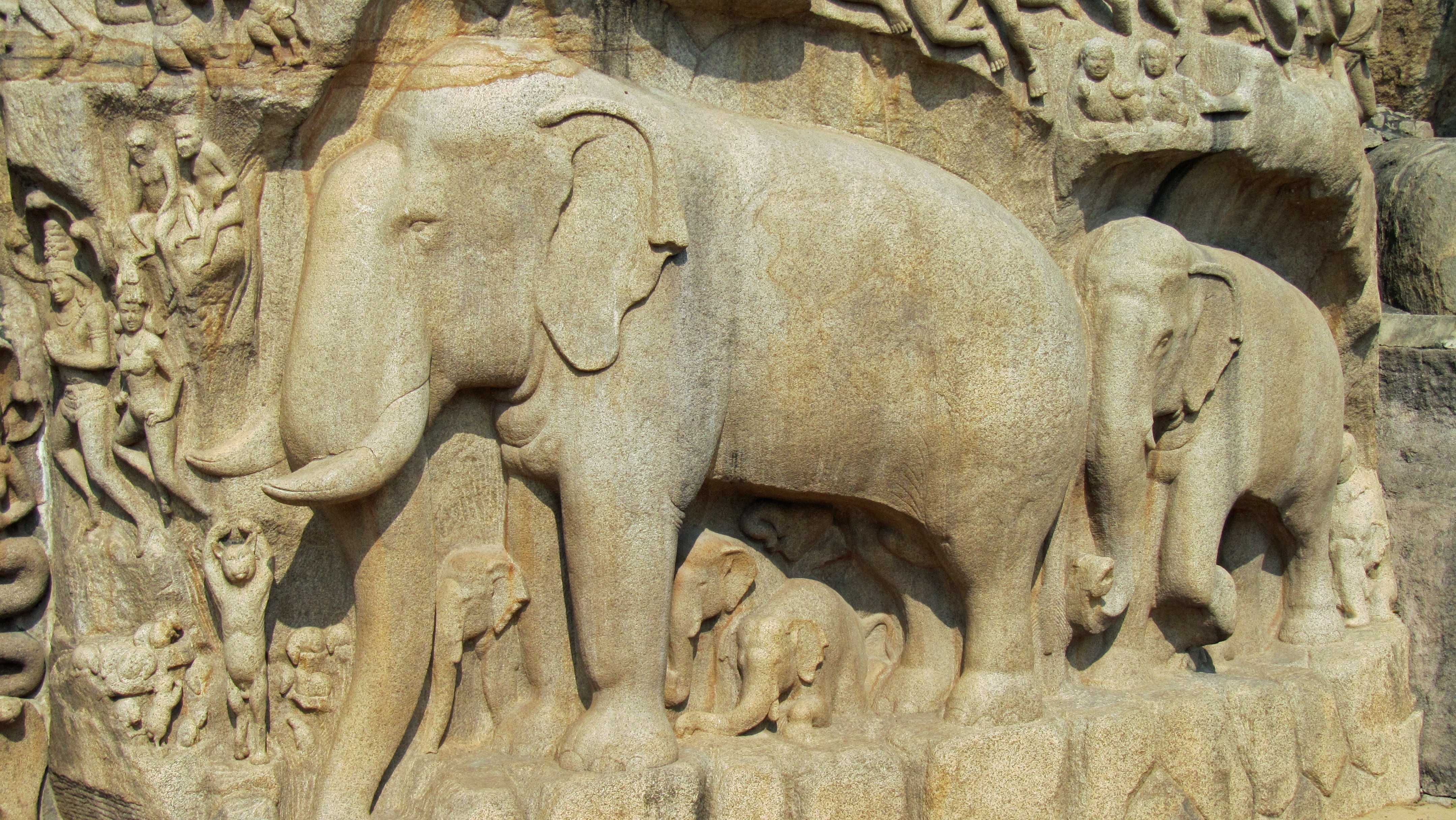 gray elephant engraved