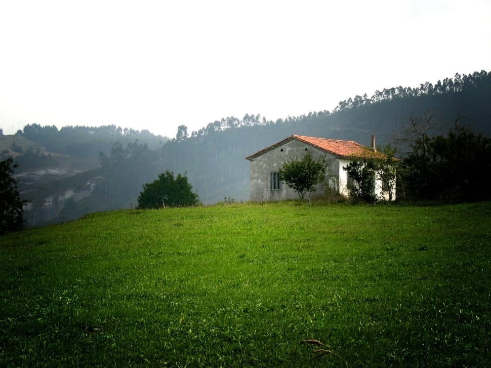 green hill grass preview